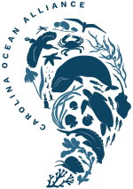 coa_logo_transparent-darkandlightblue